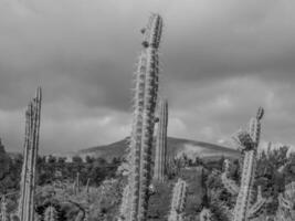 l'isola di lanzarote foto