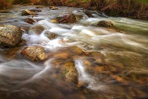 bellissimo autunno paesaggio di fluente acqua nel montagna fiume foto