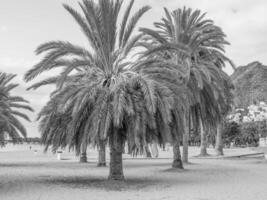 isola di tenerife in spagna foto