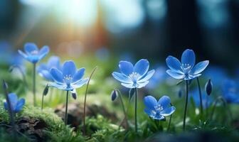 ai generato primavera bucaneve fiori. bellissimo natura scena con fioritura foresta fiori. foto