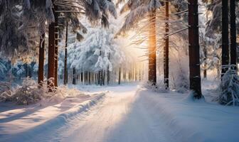 ai generato bellissimo tramonto nel il inverno foresta. inverno paesaggio con neve e sole foto