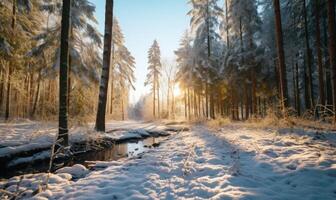 ai generato bellissimo inverno paesaggio con neve coperto alberi nel foresta a Alba. foto