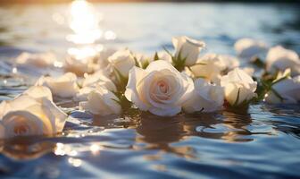 ai generato bellissimo bianca Rose su il acqua superficie con luce del sole nel il mattina. foto