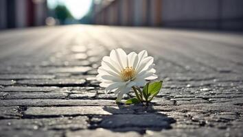 ai generato bellissimo solitario fiore cresce a partire dal asfalto foto