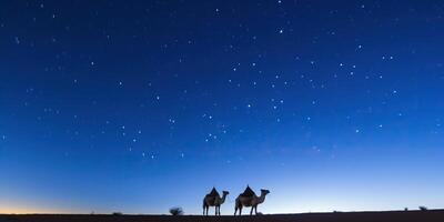 ai generato Due cammelli staglia contro un' stellato cielo a crepuscolo foto