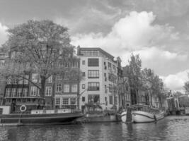 il città di amsterdam foto