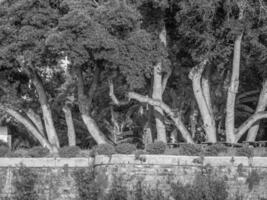 il isola di Madera nel Portogallo foto