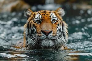 ai generato avvicinamento tigre gode nuoto nel pulito acqua un' stagno foto