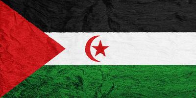 bandiera di occidentale sahara su un' strutturato sfondo. concetto collage. foto