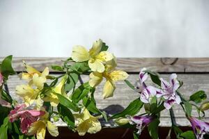 floreale preparativi con delicato alstroemeria fiori. leggero grunge sfondo, posto per testo. foto