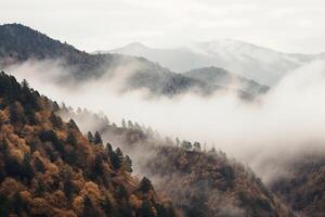 ai generato bellissimo paesaggio con nebbioso montagne e foresta. naturale sfondo. ai generato. foto