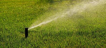 automatico giardino irrigazione sistema irrigazione prato con regolabile testa. automatico attrezzatura per irrigazione e Manutenzione di prati, giardinaggio. foto