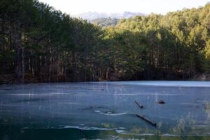 Visualizza di un' montagna lago circondato di cespugli e alberi nel autunno foto