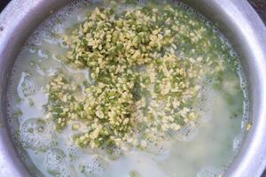 un' ciotola pieno con verde moong dal e altro ingredienti foto