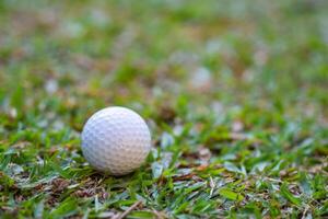 avvicinamento di golf palla su il verde erba. foto