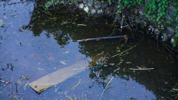 sporco acqua nel il grondaia è pieno con sciocchezze foto