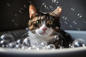 ai generato gatto con sapone bolle. creare ai foto