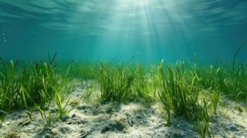 ai generato un subacqueo Visualizza rivela un' fondale marino gruppo fiorente con verde alghe, ai generato. foto