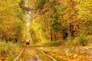 autunno foresta attraverso quale un vecchio tram cavalcate Ucraina foto