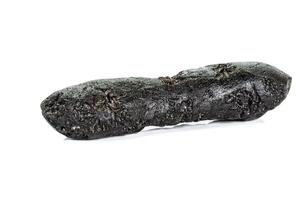 macro pietra minerale meteorite tektite su bianca sfondo foto