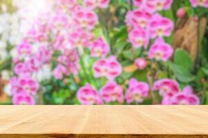 vuoto legna tavolo superiore con sfocatura orchidea giardino sfondo per Prodotto Schermo foto