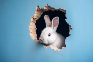 ai generato carino coniglietto guardare attraverso parete spacco. creare ai foto