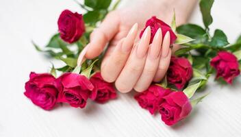 elegante pastello rosa naturale manicure. foto