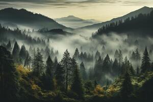 ai generato avvolto dalla nebbia abete alberi adornano il montagna paesaggio, loro sagome la creazione di un' misterioso foto