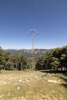 elettrico polo nel il bellissimo natura di il sierra de cazorla, jaen, Spagna. foto