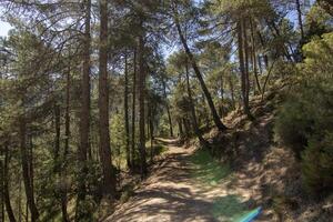 paesaggi e sentieri di il bellissimo natura di il sierra de cazorla, jaen, Spagna. natura vacanza concetto. foto