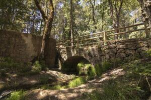 paesaggi e sentieri di il bellissimo natura di il sierra de cazorla, jaen, Spagna. natura vacanza concetto. foto