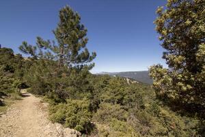 paesaggi e sentieri di il bellissimo natura di il sierra de cazorla, jaen, Spagna. natura vacanza concetto. foto