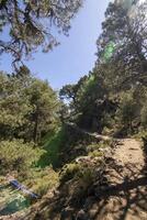 paesaggi e sentieri di il bellissimo natura di il sierra de cazorla, jaen, Spagna. natura vacanza concetto. foto