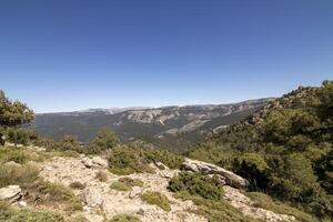 paesaggi e sentieri di il bellissimo natura di il sierra de cazorla, jaen, Spagna. natura vacanza concetto. foto