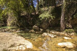 paesaggi e sentieri di il bellissimo natura di il sierra de cazorla, jaen, Spagna. natura vacanza concetto. foto