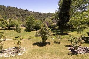 paesaggi e sentieri di il bellissimo natura di il sierra de cazorla, jaen, Spagna. natura vacanza concetto. foto