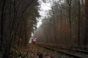 il tram cavalcate su il rotaie nel il foresta. nebbioso giorno nel autunno. l'ambiente amichevole città trasporto. kiev, Ucraina. elettrico tram. nebbia. alto nave pino alberi.. pino. natura paesaggio. carrello foto