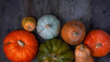 impostato di diverso zucche sfondo. diverso varietà. arancia, verde e grigio zucca. autunno raccolto. Halloween e ringraziamento cibo foto