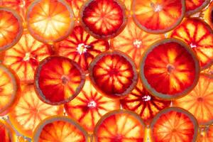 rosso arance frutta sfondo. affettato succoso arancia. cibo. estate concetto. avvicinamento su il luce. traslucido foto