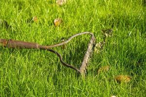 foglie cadute sull'erba del prato. le foglie gialle vengono raccolte con un rastrello dall'erba verde in autunno. foto