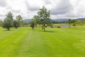 paesaggio di prato verde in un bellissimo giardino foto