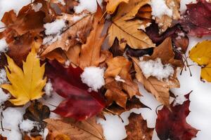 ai generato autunno le foglie su neve. creare ai foto