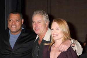 Lawrence scottatura di pesce, William Petersen, e marg Helgenberger a il 200 ° episodio celebrazione di csi lasvegas a il csi impostato su universale arretrato nel los angeles, circa su febbraio 10, 2009 foto