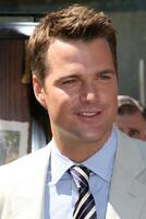 Chris o'Donnell in arrivo a il prima di kit kittredge a il boschetto nel los angeles, circa giugno 14, 2008 foto