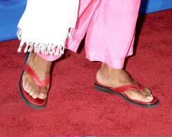 alfre Woodard abc tca festa il abby w. hollywood, circa luglio 27, 2005 foto