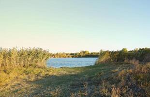 bellissimo autunno paesaggio con lago e multicolore alberi. pittoresco posto con lago e alto alberi foto