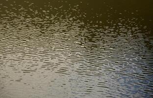 il struttura di buio fiume acqua sotto il influenza di vento, impresso nel prospettiva. orizzontale Immagine foto