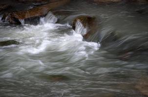 dettaglio autunnale sul fiume serale foto