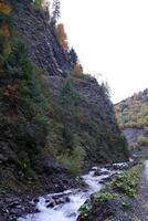 un' luminosa blu fiume fluente attraverso foresta come il sole inizia per impostato nel un' nascosto parco lungo il panoramico guidare nel hoverla montagne la zona foto