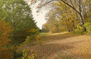 bellissimo natura autunno paesaggio. scenario Visualizza su autunno città parco con d'oro giallo fogliame nel nuvoloso giorno foto